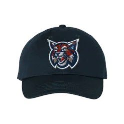 Wildcats Classic Dad Hat